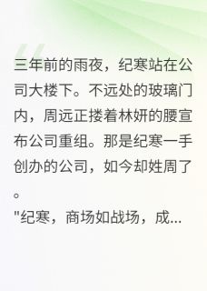 破产后，我成了死对头的投资人
