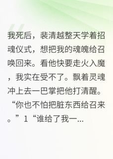 余生再无倾城雪