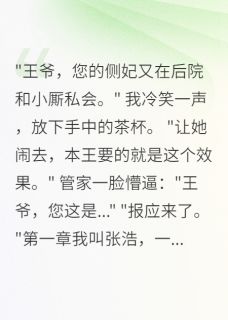 穿越王爷的情感日常
