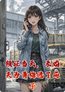 领证当天，未婚夫为青梅进了局子