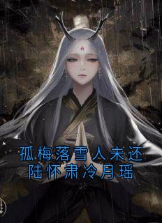 孤梅落雪人未还陆怀肃冷月瑶