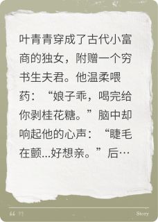 穿越之状元郎他表里不一