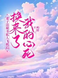 妻子送秘书私人飞机后，换来了我的心死