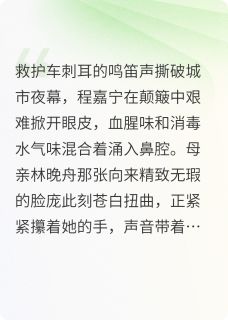 被调换的十七年