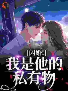 闪婚！我是他的私有物
