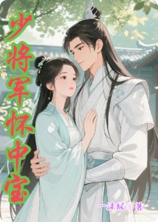 少将军怀中宝