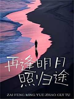 再逢明月照归途