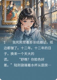 焚情十二载