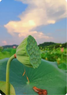 绝经后，我让霸总跪地叫了妈