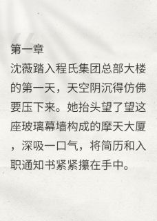 偏执总裁的小撩精