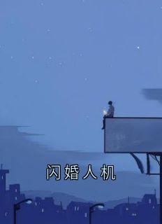 闪婚人机