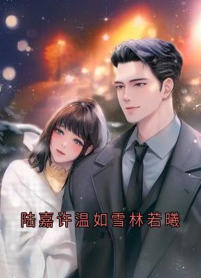 陆嘉许温如雪林若曦