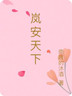 岚安天下