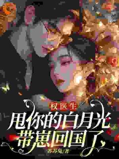 权医生，甩你的白月光带崽回国了