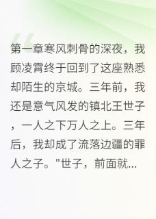 镇北王世子的复仇之路