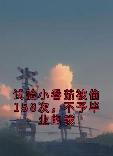 试验小番茄被偷158次，不予毕业的我
