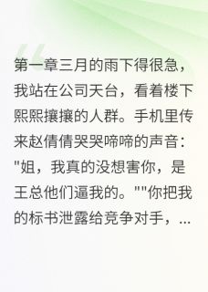 重生后我让贪污上司坐牢十年