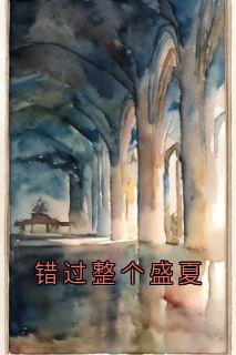 错过整个盛夏