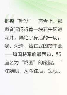 战地记者穿越为王爷小妾