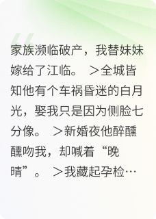不是替身的故事