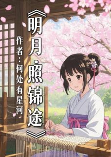 明月照锦途