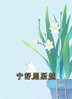 宁舒周斯越