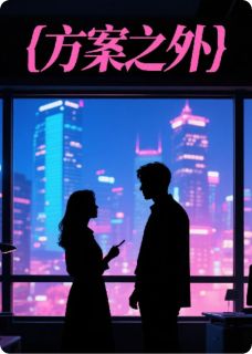 方案之外