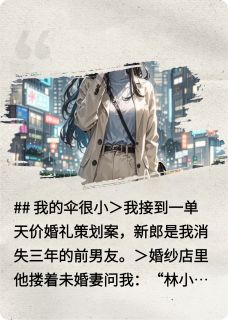 我的伞很小