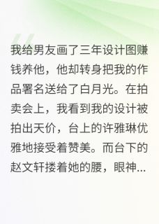 我的设计被白月光盗用拍出天价