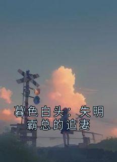 暮色白头：失明霸总的追妻