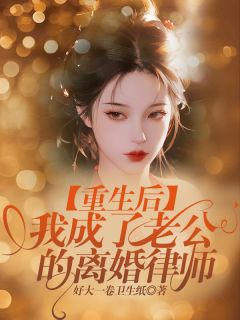 重生后,我成了老公的离婚律师