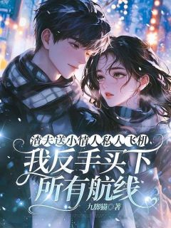 渣夫送小情人私人飞机，我反手买下所有航线