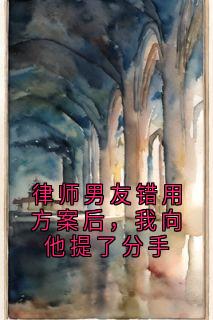 律师男友错用方案后，我向他提了分手