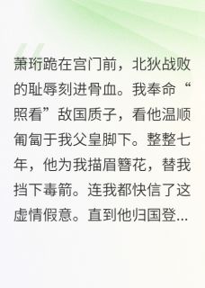 敌国质子与郡主的爱恨情仇