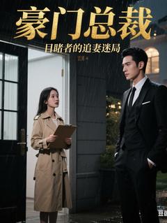 豪门总裁：目睹者的追妻迷局
