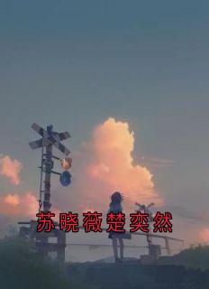 苏晓薇楚奕然