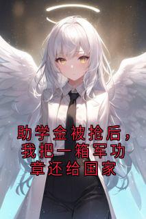 助学金被抢后，我把一箱军功章还给国家