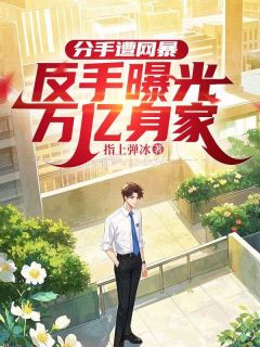 分手遭网暴，反手曝光万亿身家