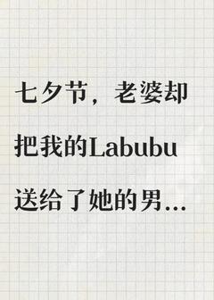 七夕节，老婆把我珍藏的Labubu送给男秘书之后