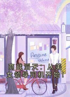 商战滔天：从美女领导司机开始！