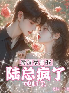 新婚夜离婚，她归来，陆总疯了
