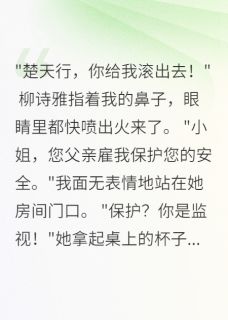 退役兵王在小城