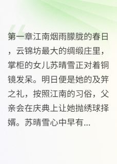 绣球招亲遇到透视外挂