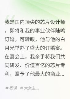 亲手送出百亿芯片，前任骂我疯了