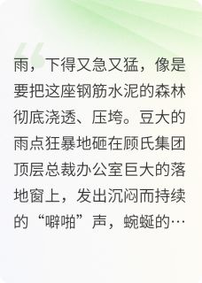 女保镖故事