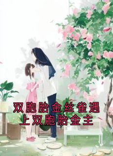 双胞胎金丝雀遇上双胞胎金主