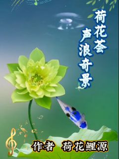 荷花荟声浪奇景