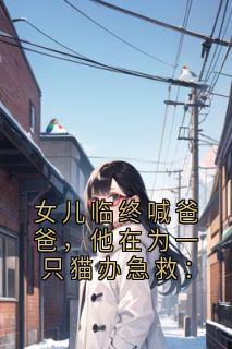 女儿临终喊爸爸，他在为一只猫办急救：