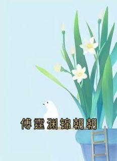 傅霆渊锦朝朝