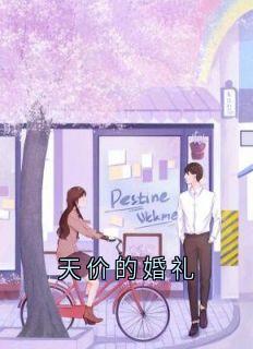 天价的婚礼